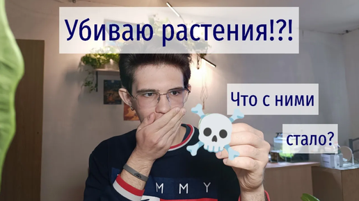 Убиваю растения?! | Что случилось с коллекцией?