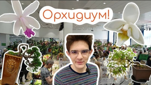 ORCHIDIUM! 🎉| Обзор выставки | Интересные растения | ПАПОРОТНИКИ, ОРХИДЕИ И НЕ ТОЛЬКО🌿🌱