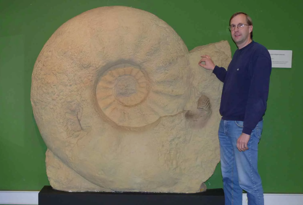 Червь Парапузия (Parapuzosia seppenradensis)