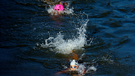 Из цитируемого источника