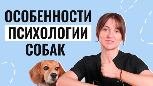 Секреты УСПЕШНОГО ОБУЧЕНИЯ: Почему нужно учитывать особенности каждой собаки?