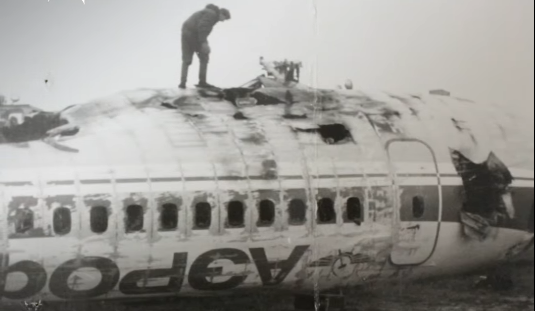 31 октября 1984