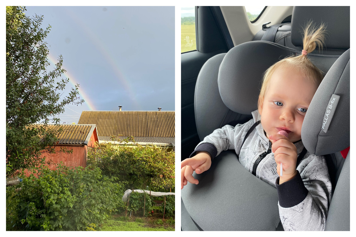 Прощальная радуга, сбор урожая и настойчивый поваренок 