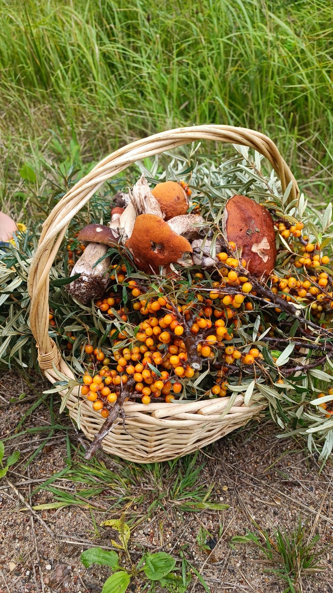 В 5 минутах прогулки от агрофермы