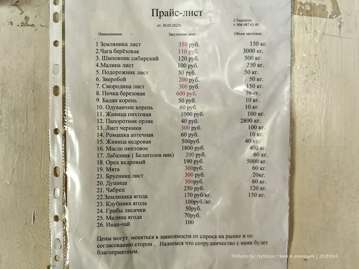 Закупочные цены на лекарственные травы и ягоды в таежном поселке