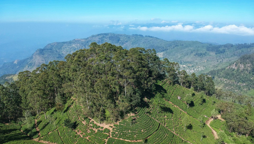 Фото: Petr Sevcovic, unsplash