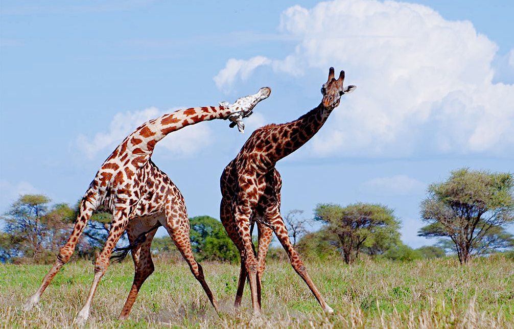 Источник фото: bugaga.ru