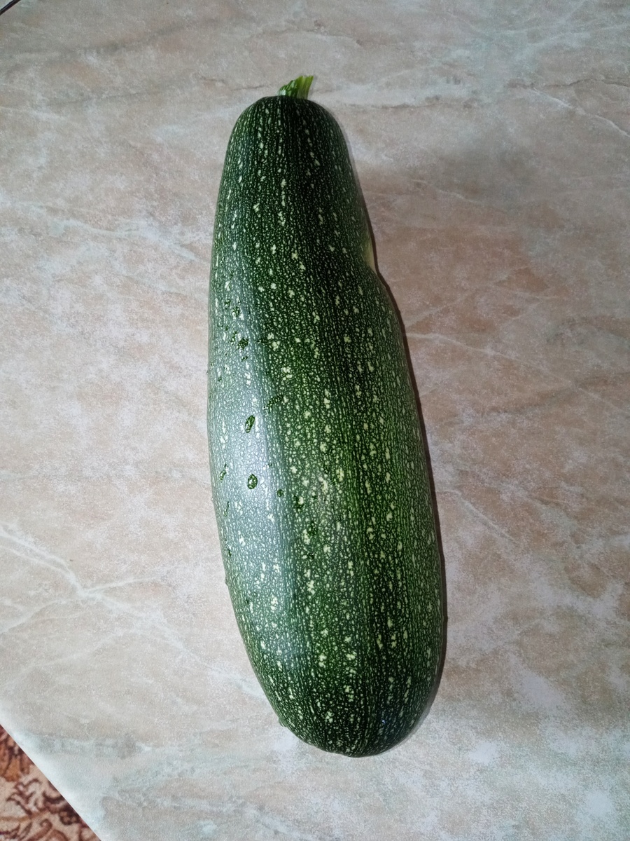 Кабачок с грядки. Фото автора 