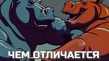 Чем отличается гиппопотам от бегемота #shorts