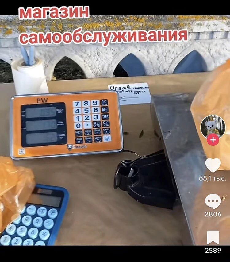 Источник фото: скриншот с видео TikTok @maksalinalyninec 