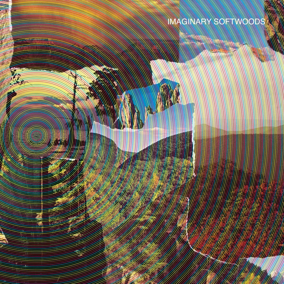 Imaginary Softwoods
2009