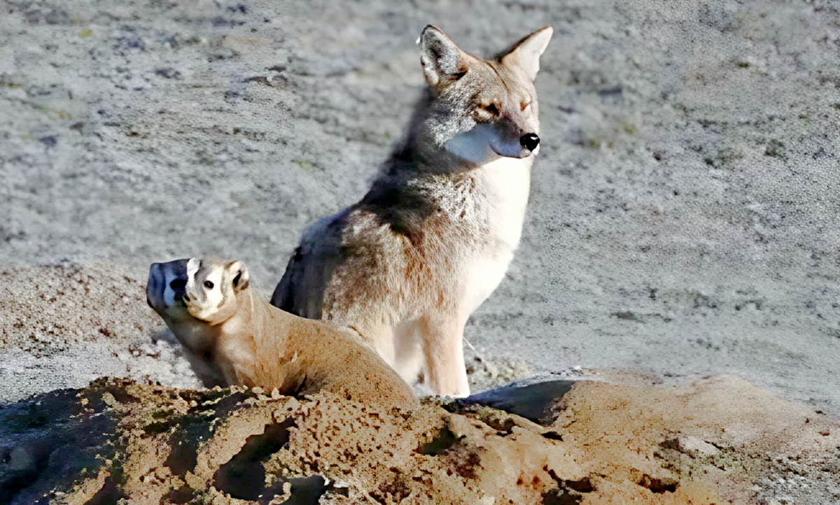 Снимок: hobby-blog.ru