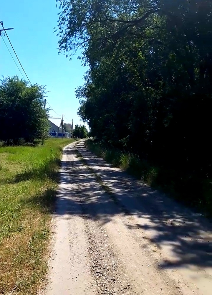 Фотография автора 