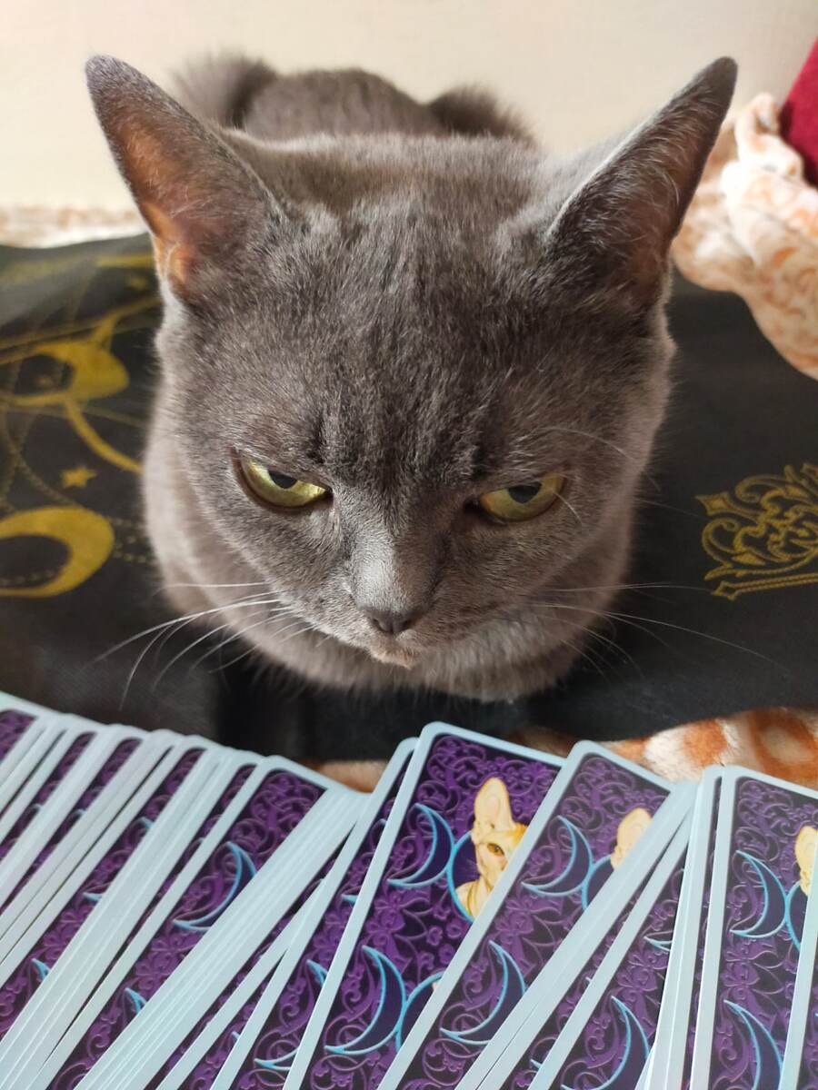 Из личного архива автора 