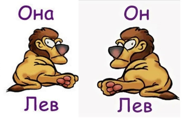 Zodiakalnie Lvi. Vedayu po zvezdam