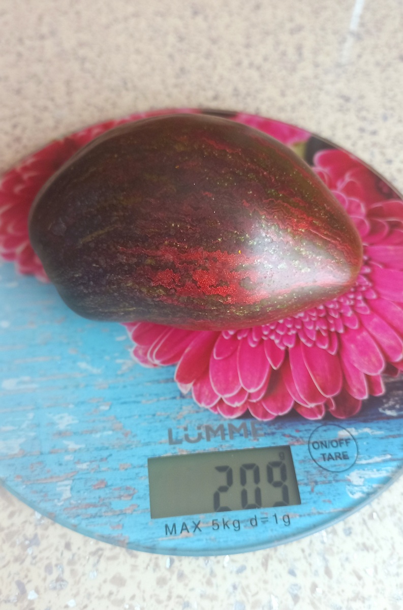 Он же на весах, средний по размеру