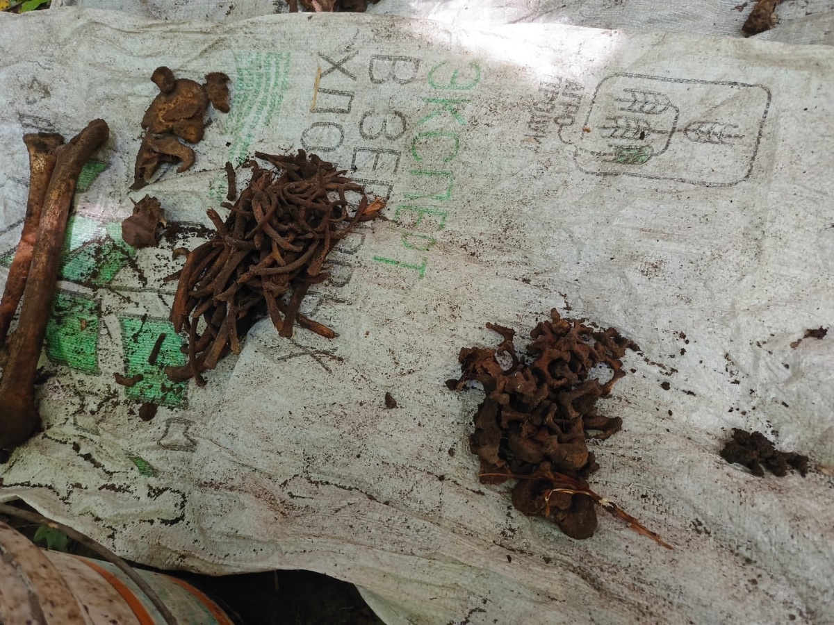 Листайте вправо, чтобы увидеть больше изображений