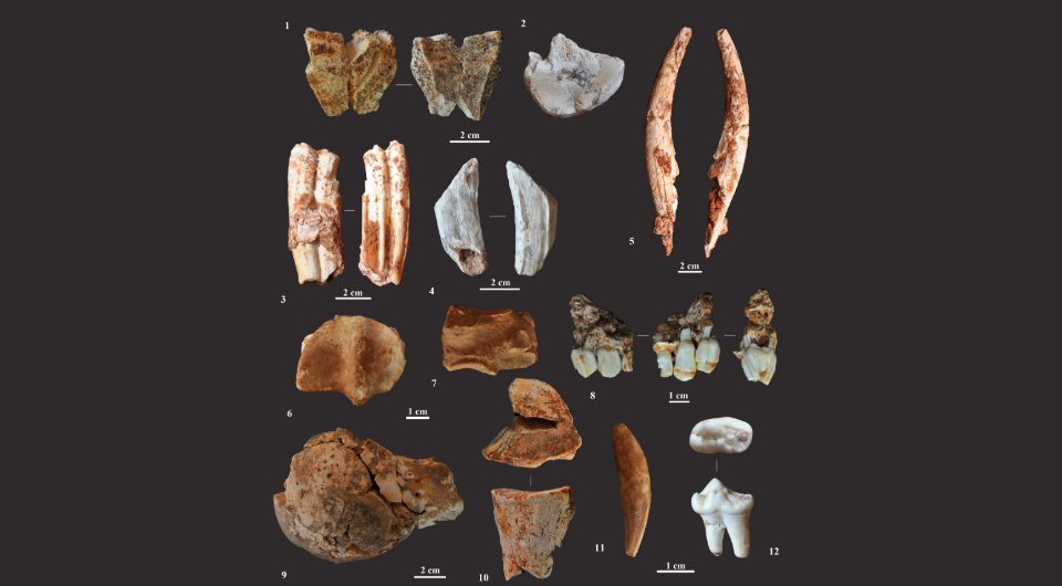  Montserrat Sanz et al. / Archaeological and Anthropological Sciences, 2024