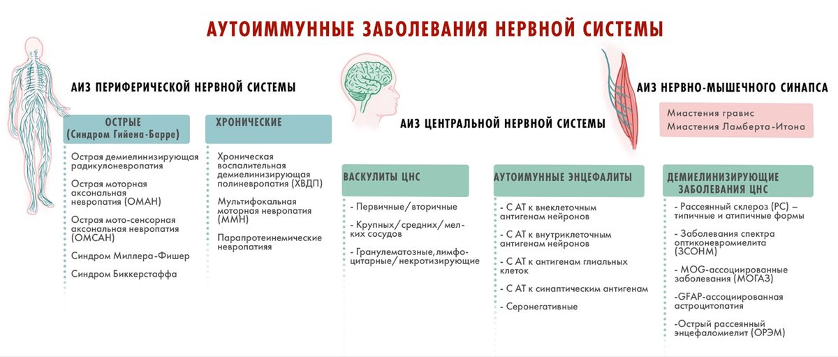 Классификация аутоиммунных заболеваний нервной системы.