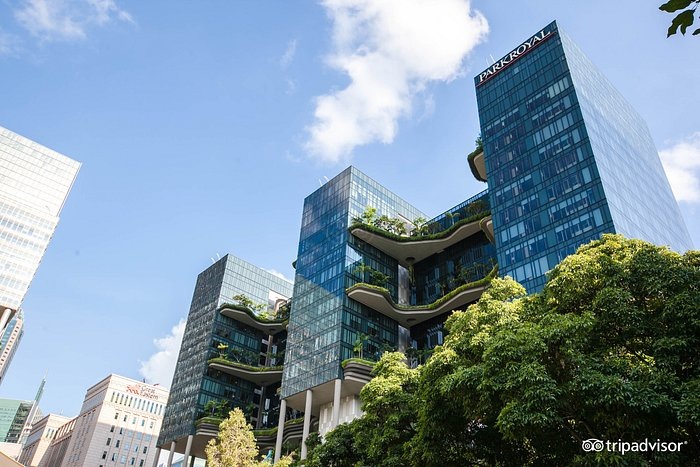 Новый Королевский парк в Сингапуре