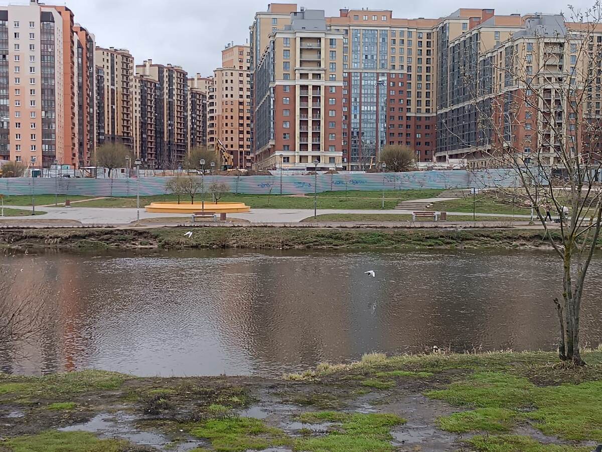 Так выглядел парк Оккервиль весной 2024 года