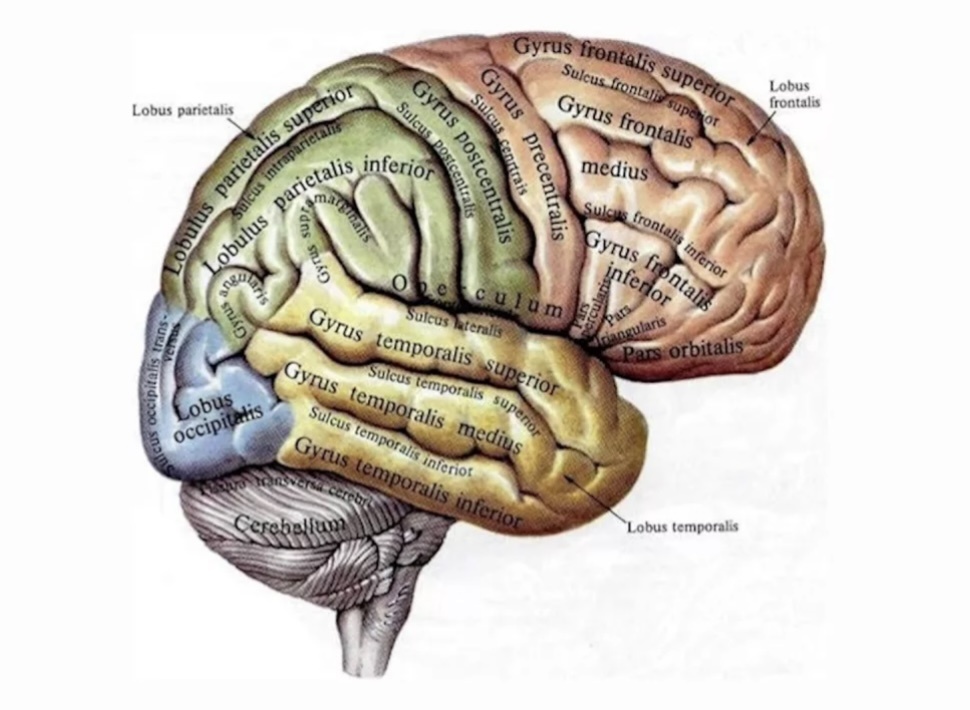 Фото из открытых источников в сети интернет 