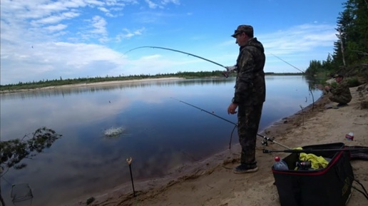 ЛЕСКА ТРЕЩИТ УДОЧКА В ДУГУ! ПОД ЭТОЙ КОРЯГОЙ КАБАНЫ ДОЛБЯТ НА КАЖДОМ ЗАБРОСЕ! СИБИРЬ, ТАЙГА.