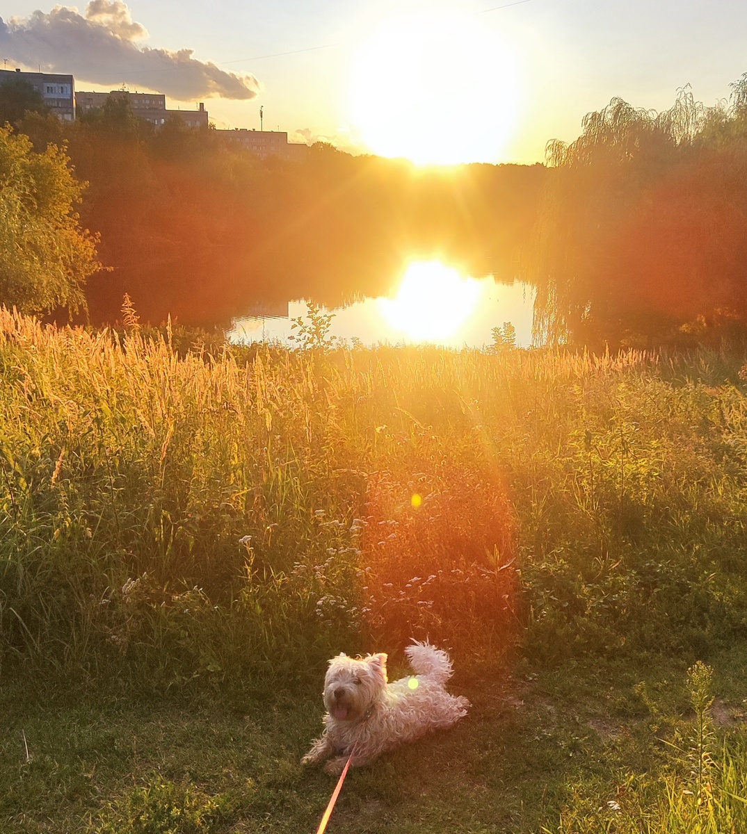 Скай Евгеньич