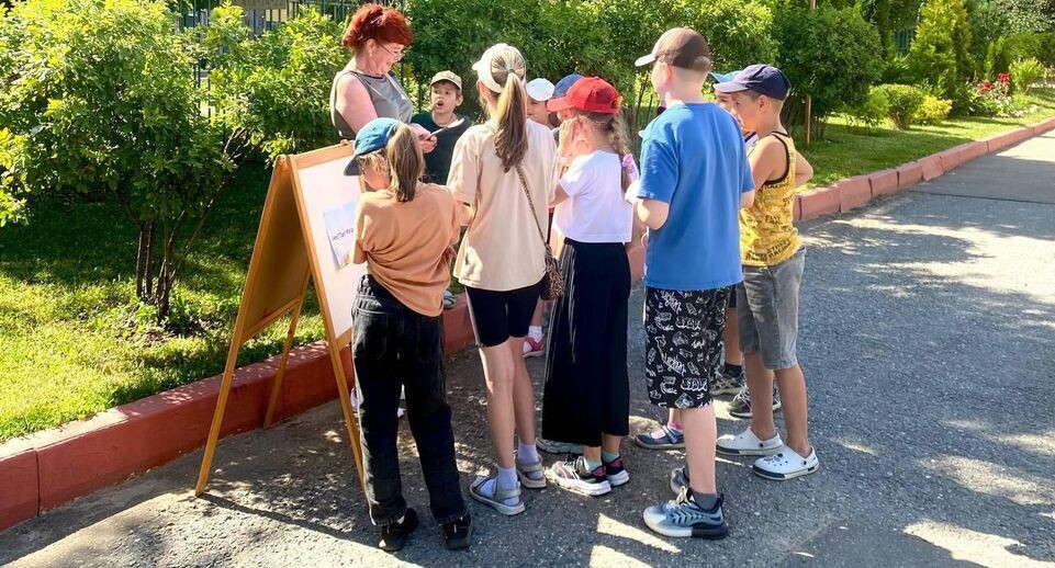    Пресс-служба администрации городского округа Лобня