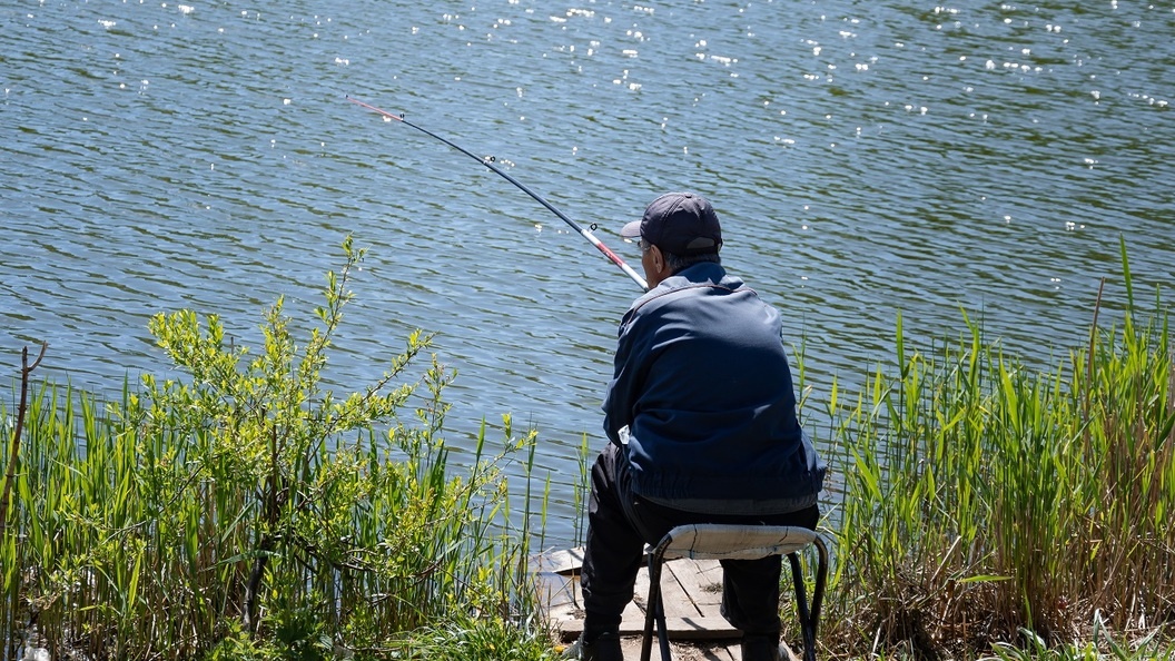    Oleg Spiridonov/Globallookpress