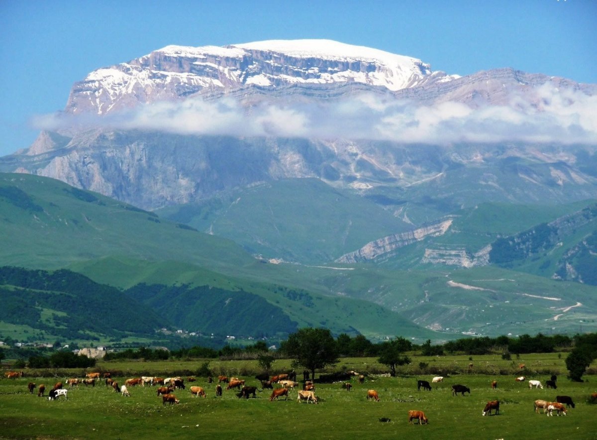 Гора Базардюзю