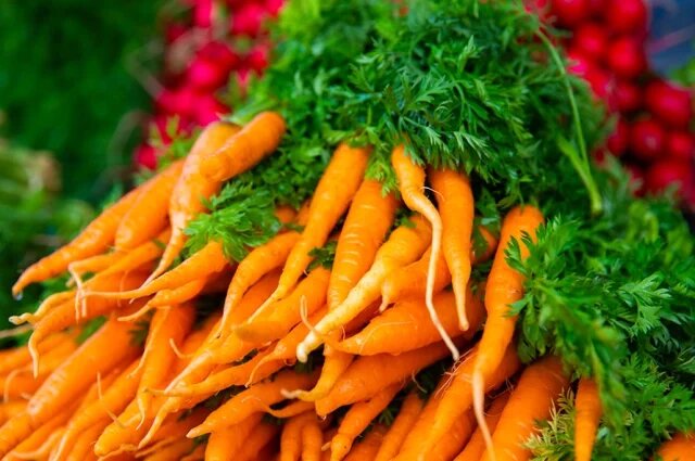    Какая морковь полезнее — мытая или немытая?