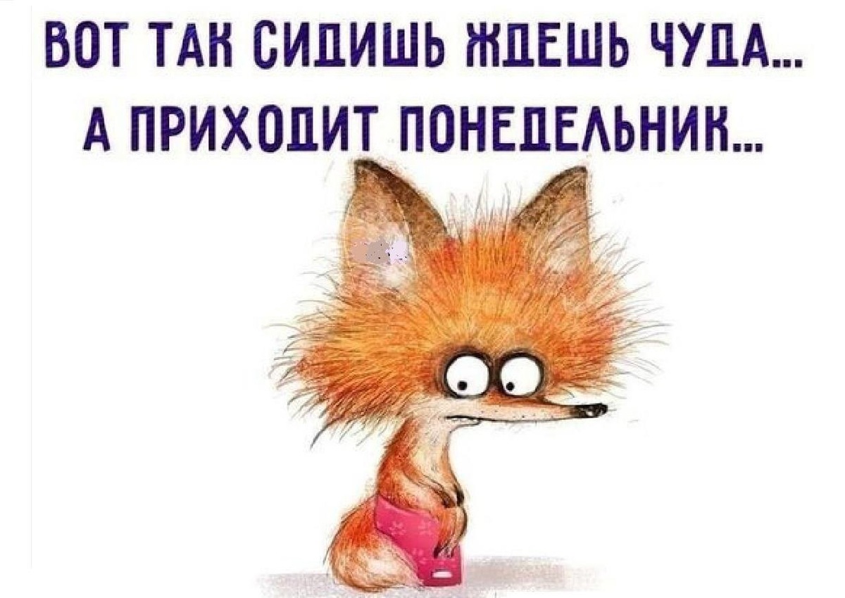 Взято из открытых источников 