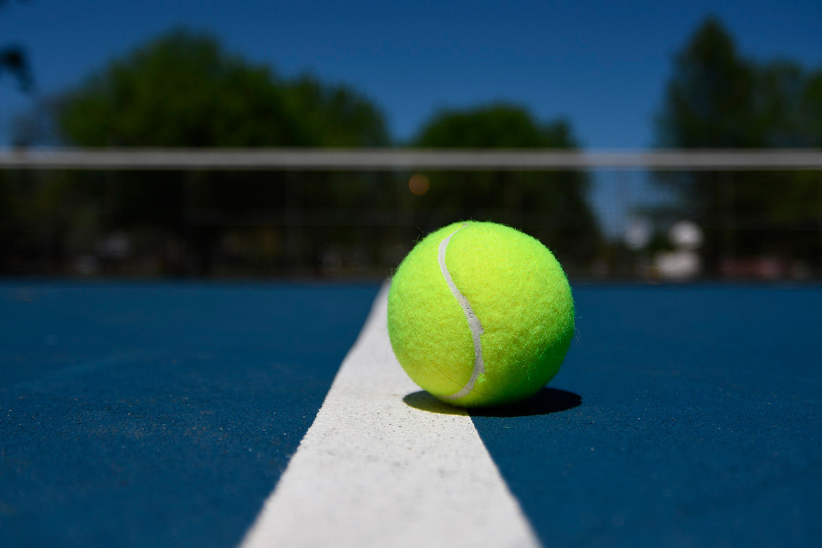    Фото: thaddeo / Pixabay.com