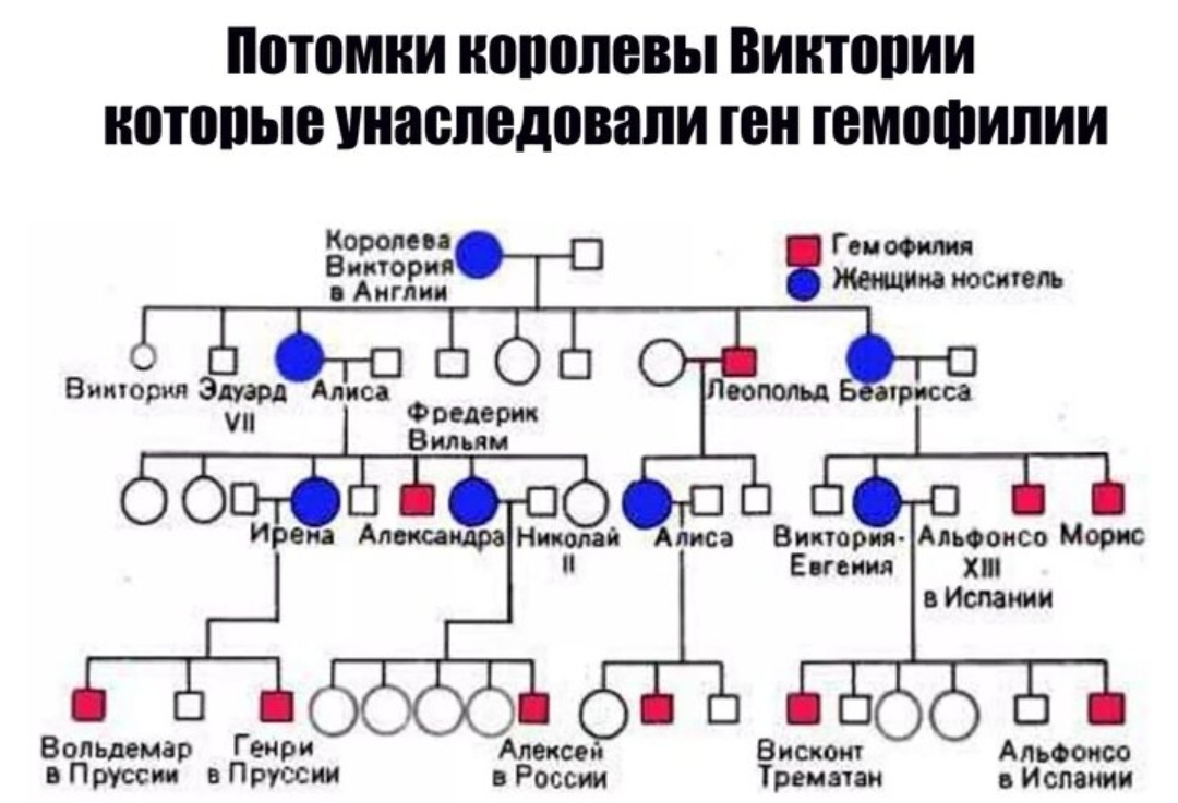 Найдено в Яндекс Картинках