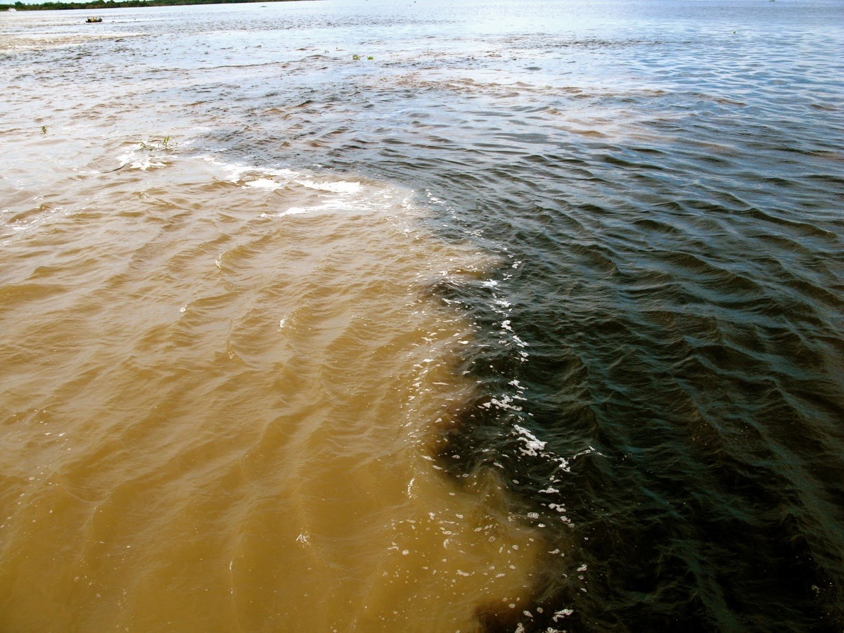 Мутная вода во сне: нырнуть в глубины подсознания