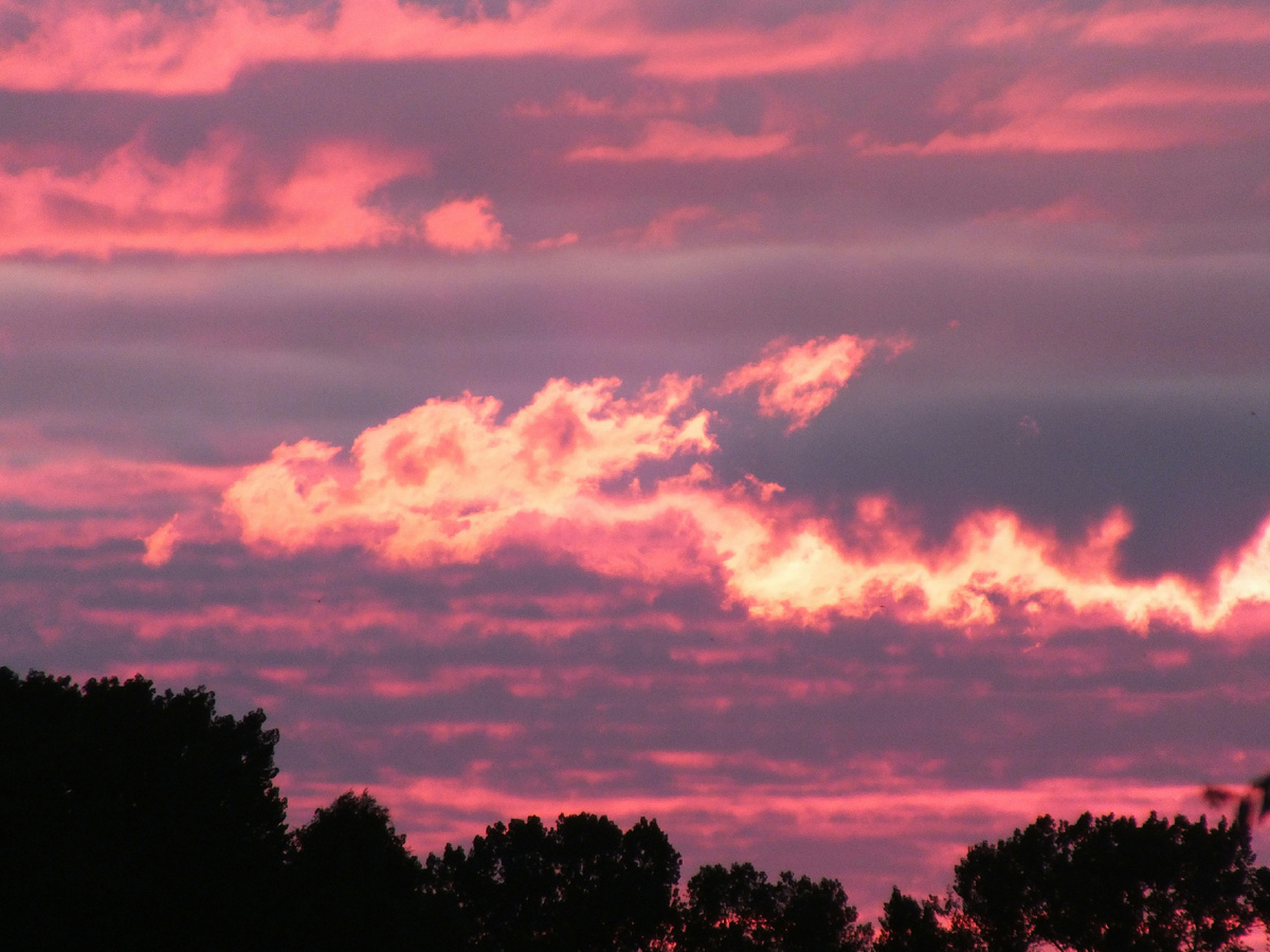 Victor Lisitsyn, Виктор Л/Global Look Press 