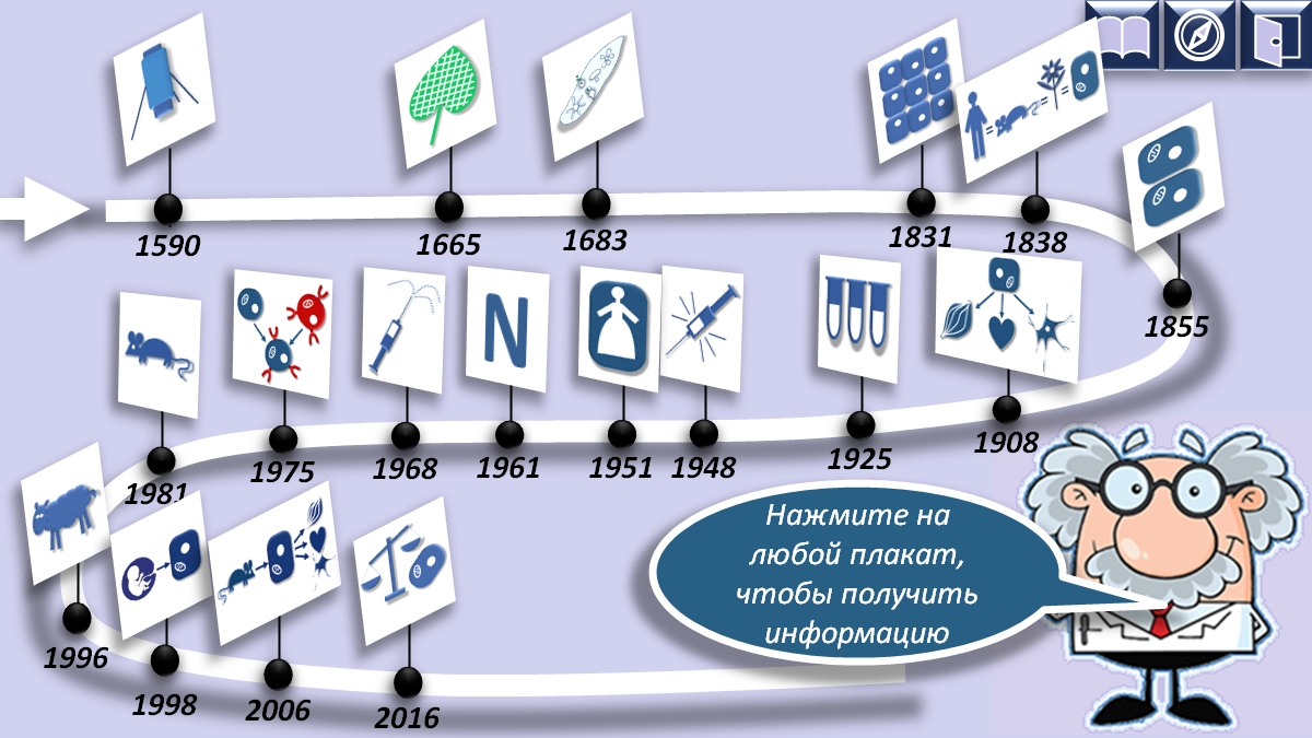 Это слайд из моей авторской презентации "Как развивались клеточные технологии", ссылка на которую в конце публикации