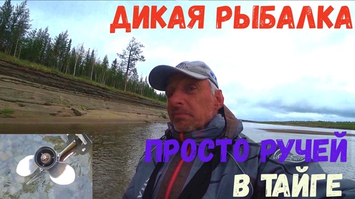 ПО ТАЕЖНЫМ РЕКАМ. ДИКАЯ РЫБАЛКА В РУЧЬЕ!!! И МЫ ПОПАЛИ!!!