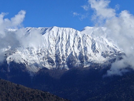    Фото: Юрий Серебренников/BFM Кубань