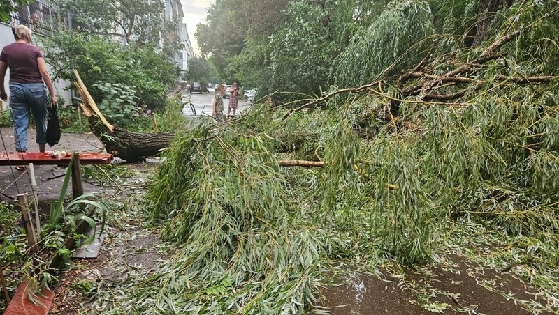      Фото: соцсети главы Ессентуков Владимира Крутникова