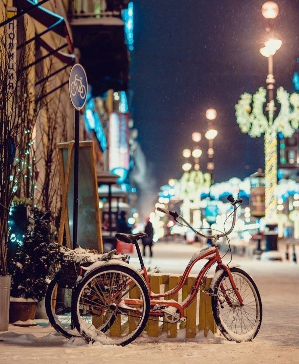 Зимний Петербург 