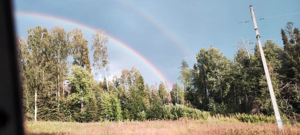 Фото, которое можно истолковать так по-разному 🤣