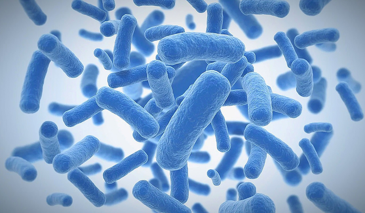 Сенная палочка