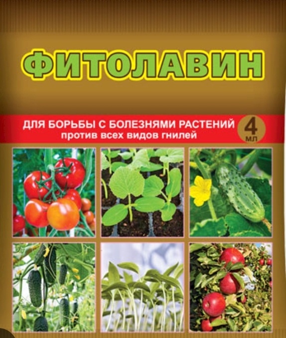 Фиталавин -это Фунгицид наиболее эффективен против бактериальных и грибковых болезней. Активным веществом является фитобактериомицин, концентрация которого в препарате составляет 32 г/л. К основным преимуществам можно отнести ускорение роста растений, и, как следствие, повышение плодоношения и урожайности культур. Экологически чистые плоды, т.к. препарат выведен из природного антибиотика. Особым плюсом отметим удобную форму упаковки – ампулы объемом 4мл.Применение Фунгицида Фитолавин показано для профилактики и лечения всех овощных ,цветосных и плодовых культур от следующих заболеваний: гнили, некроза, альтернариоза и других. Приготовить раствор достаточно просто. Для этого необходимо содержимое ампулы встряхнуть и развести  2литрах чистой воды. Обрабатывать растения нужно только свежеприготовленным раствором рано утром или поздно вечером при отсутствии ветра и выпадения осадков.Можно опрыскивать или полить под корень.Так же очень хорошо подходит для орхидей👍 При загнивании шейки  у орхидеи можно промазать кисточкой ,смоченой препаратом фитолавин(не разведеным).  Очень хорошо останавливает гниение на шейки орхидей👍
