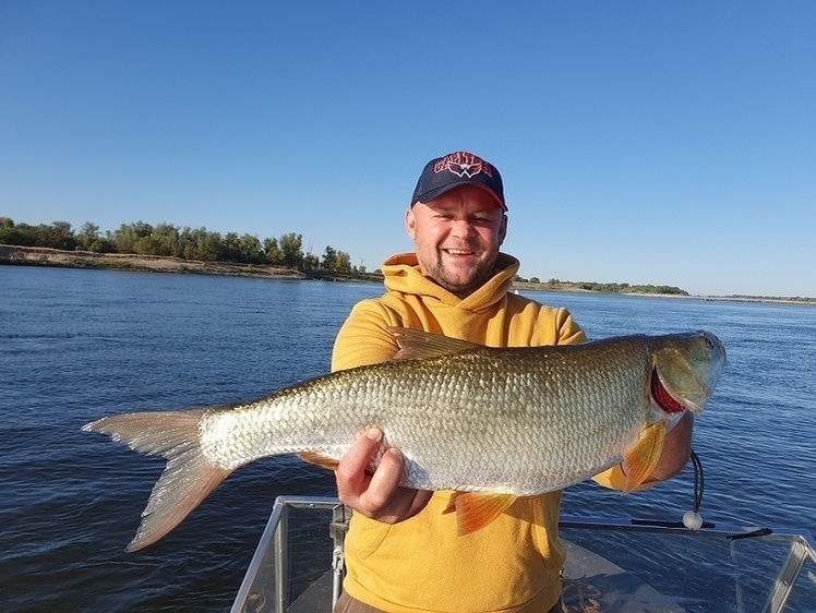     Фото: Коломийца Алексея.