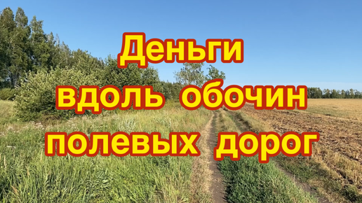 Как можно зарабатывать деньги, гуляя по обочинам полевых дорог. Прошелся и насобирал целую сумку металла!