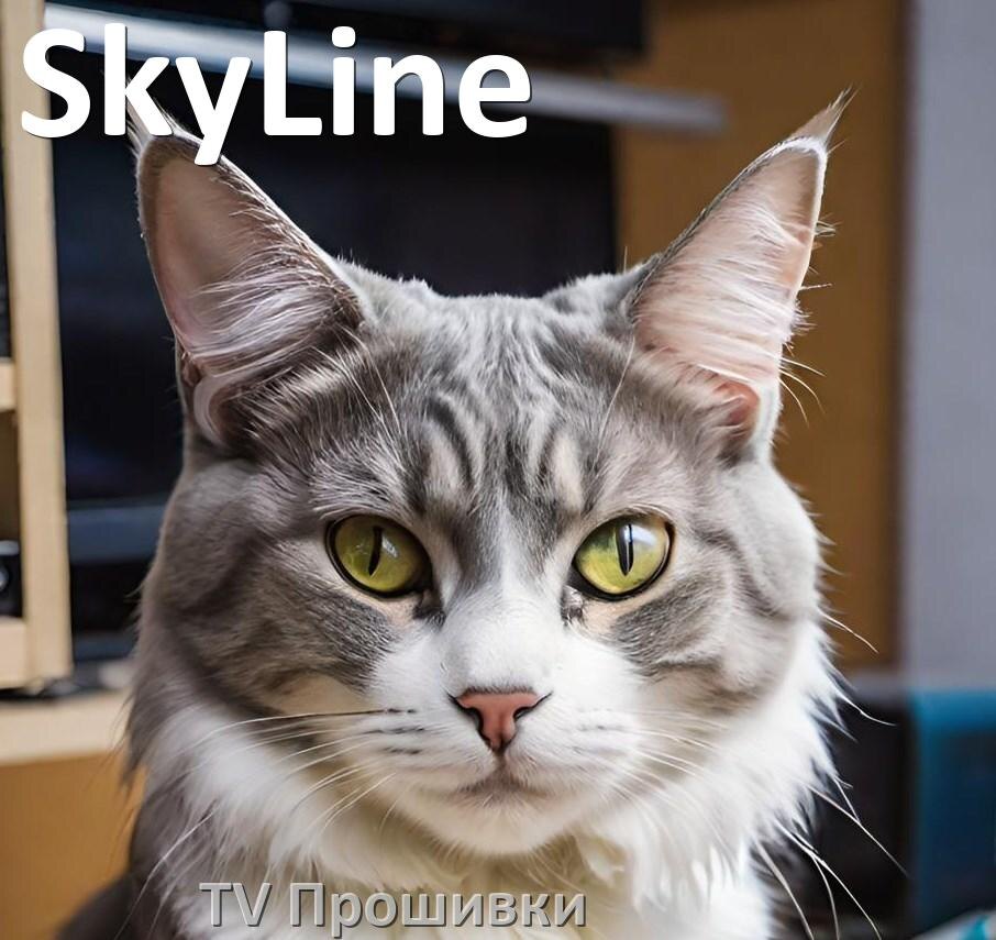 
Прошивки на телевизоры SkyLine Android TV на Smart и дампы памяти