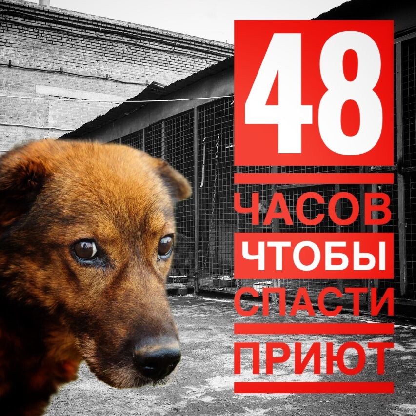 Срочный сбор на оплату аренды, мы одной апой на улице!