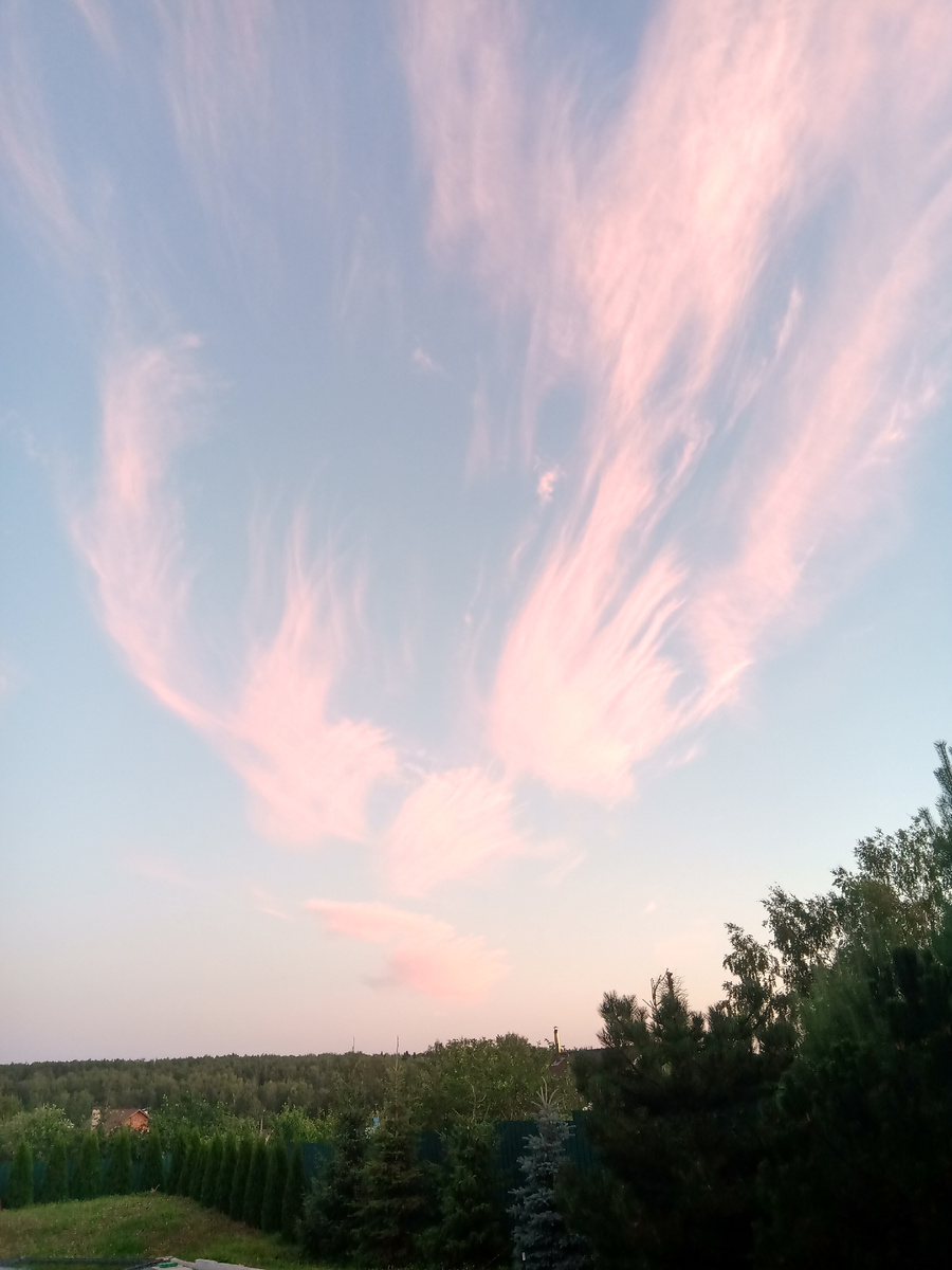 Летнее небо. Середина июля. Кучевые облака растрепал лёгкий ветерок. Приближается дождливая погода после изнуряющей жары и засухи   
